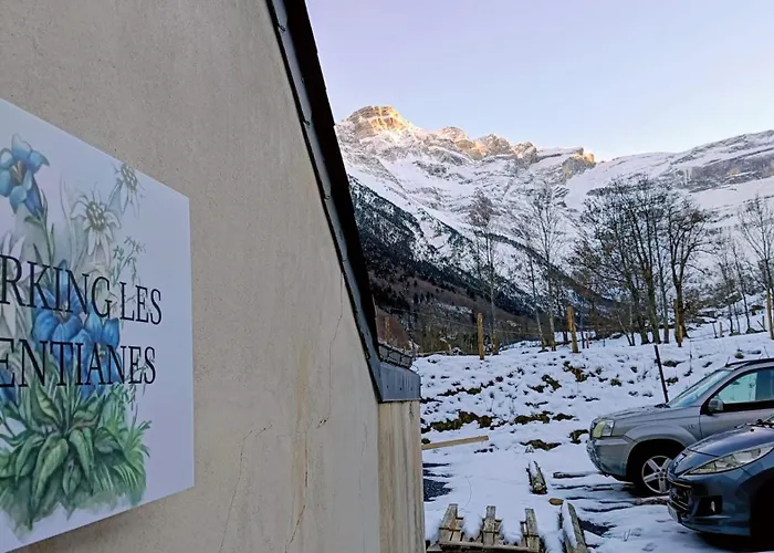 Apartment Les Gentianes *