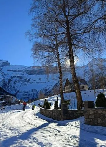 Les Gentianes Apartment *